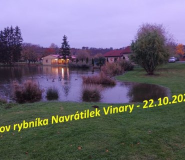 Výlov rybníka Navrátilek ve Vinarech 22.10.2022