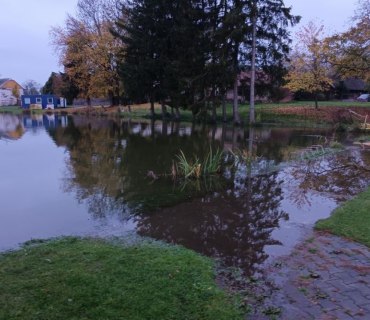 Výlov rybníka Navrátilek ve Vinarech 22.10.2022